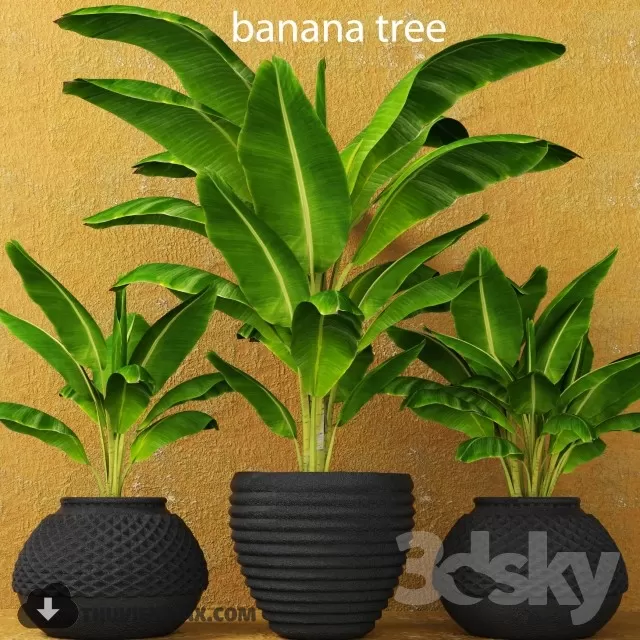 PRO PLANT 3D MODELS – 559