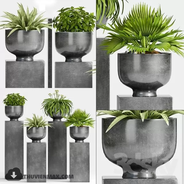 PRO PLANT 3D MODELS – 560