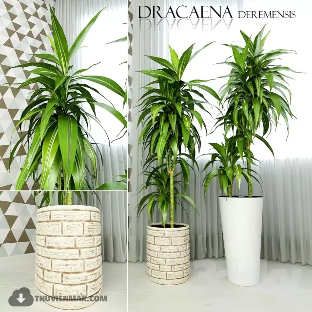 PRO PLANT 3D MODELS – 568