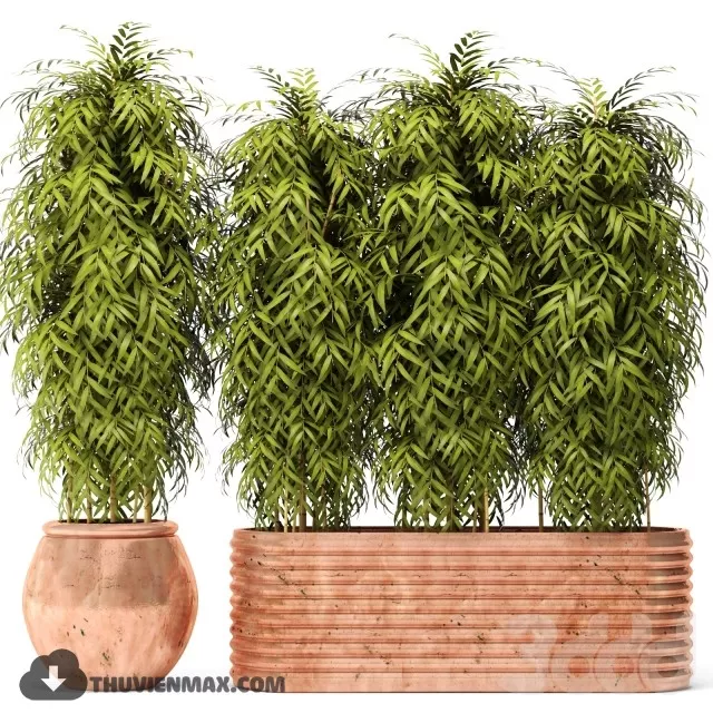 PRO PLANT 3D MODELS – 584