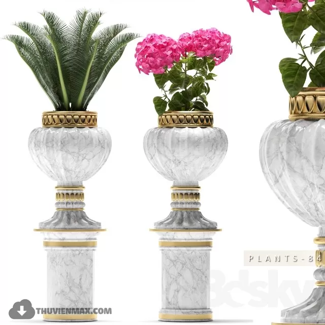 PRO PLANT 3D MODELS – 586