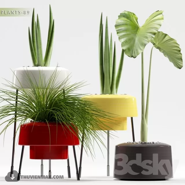 PRO PLANT 3D MODELS – 590