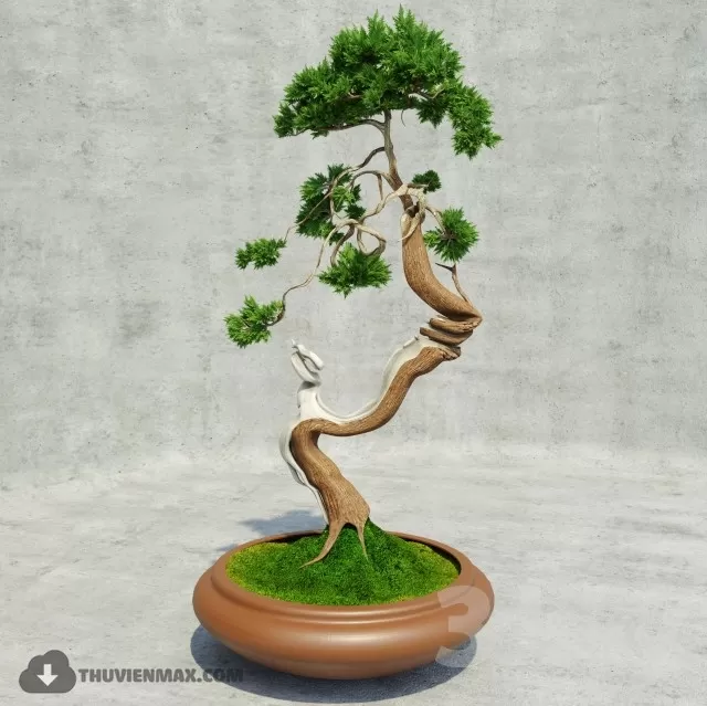 PRO PLANT 3D MODELS – 594