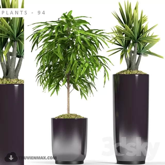 PRO PLANT 3D MODELS – 600