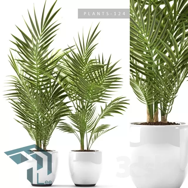 PRO PLANT 3D MODELS – 613