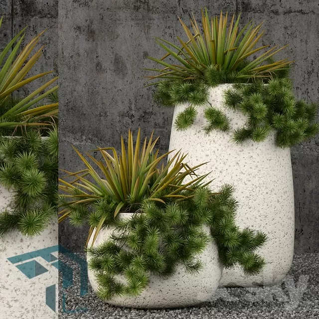 PRO PLANT 3D MODELS – 622