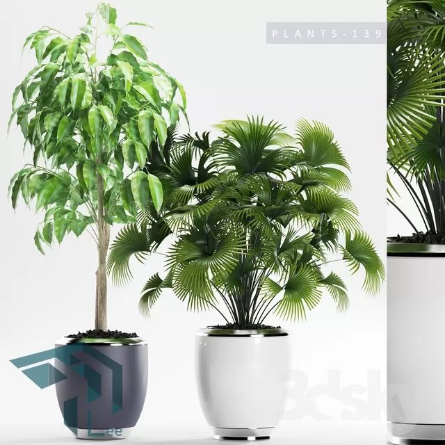 PRO PLANT 3D MODELS – 625
