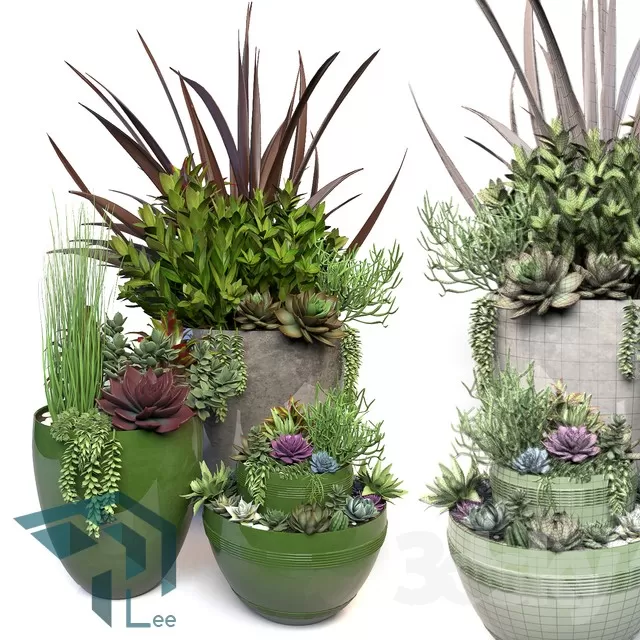 PRO PLANT 3D MODELS – 629
