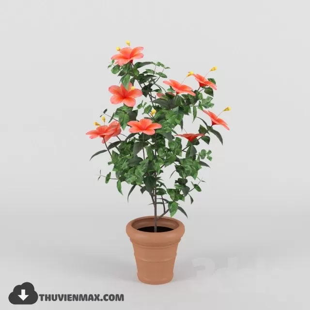 PRO PLANT 3D MODELS – 064