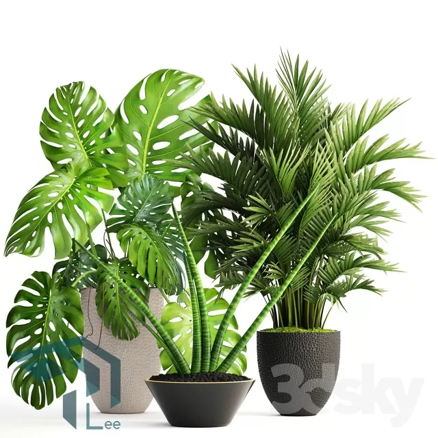 PRO PLANT 3D MODELS – 635