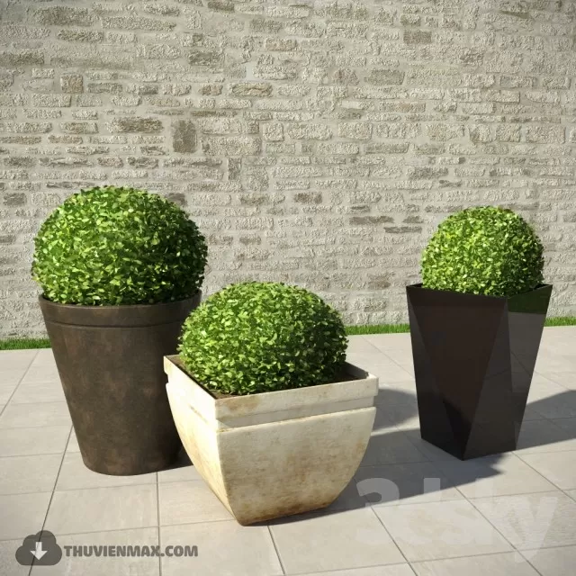 PRO PLANT 3D MODELS – 646