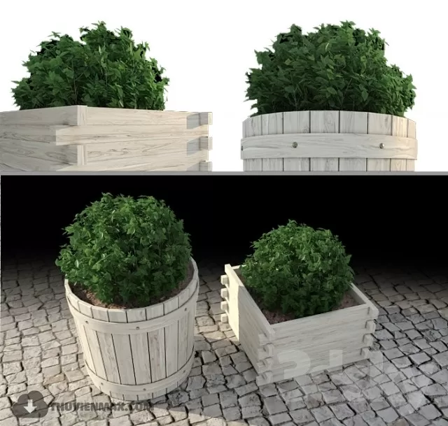 PRO PLANT 3D MODELS – 647