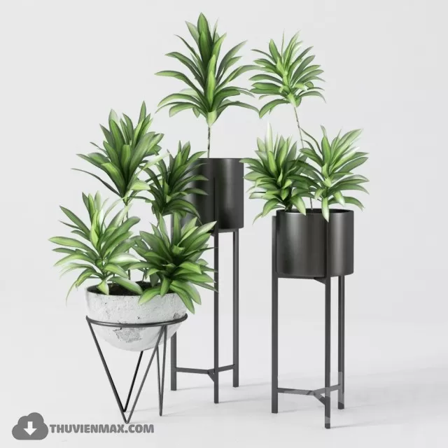 PRO PLANT 3D MODELS – 650