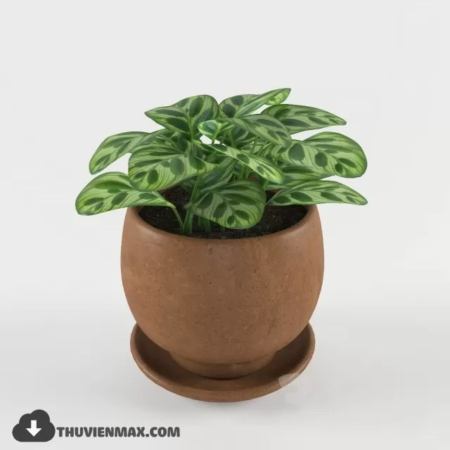 PRO PLANT 3D MODELS – 066