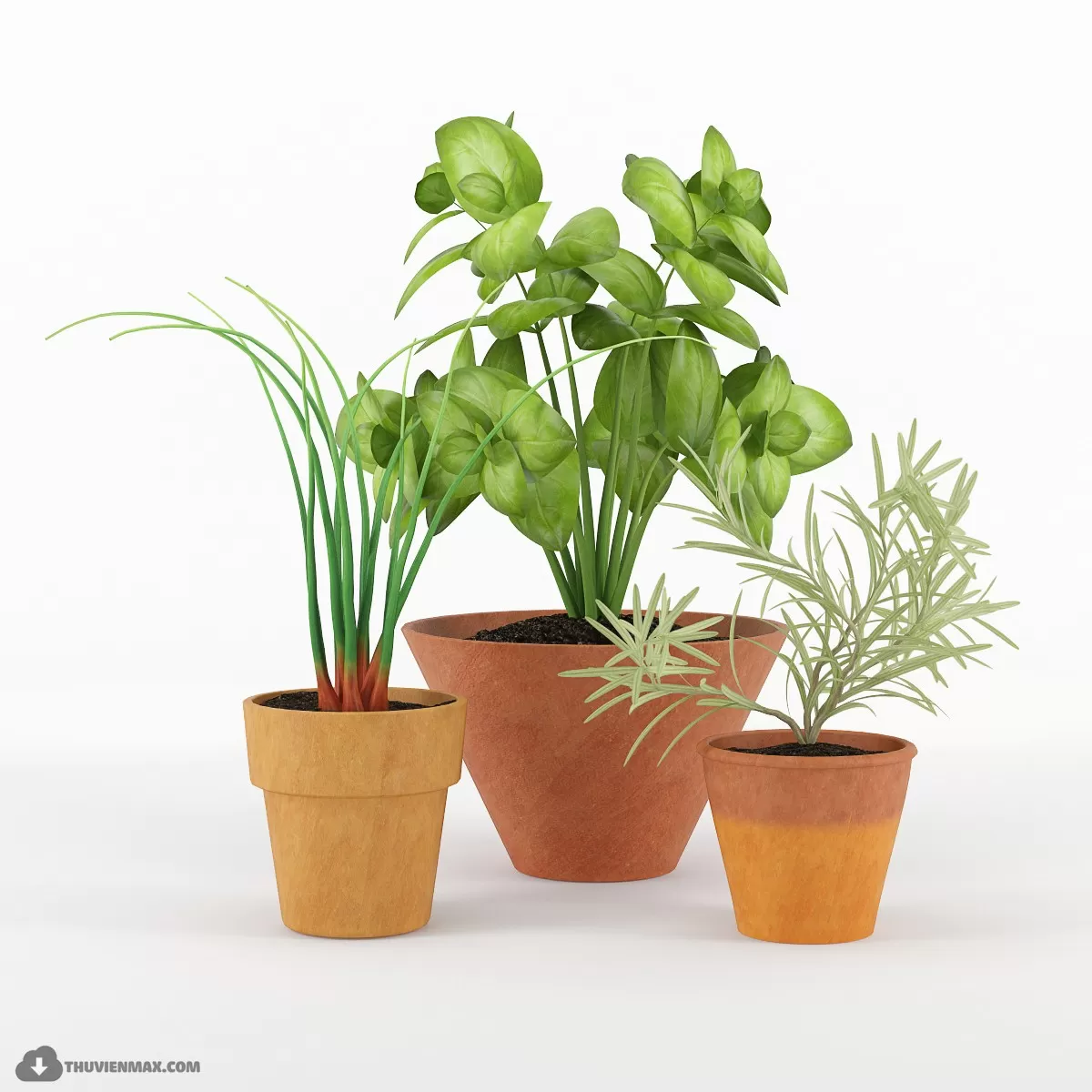 PRO PLANT 3D MODELS – 651