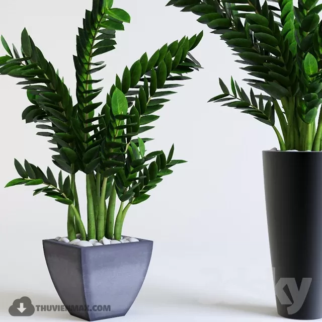 PRO PLANT 3D MODELS – 653