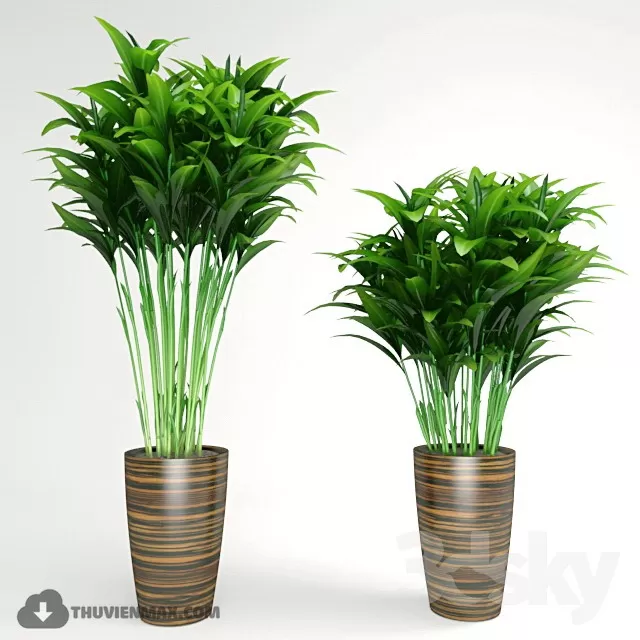 PRO PLANT 3D MODELS – 654