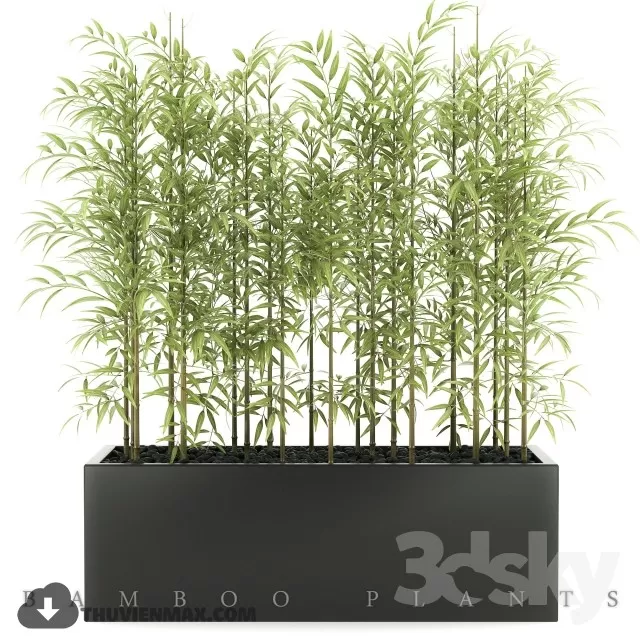 PRO PLANT 3D MODELS – 657