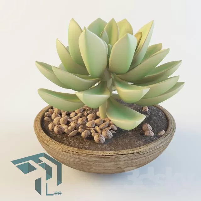 PRO PLANT 3D MODELS – 660