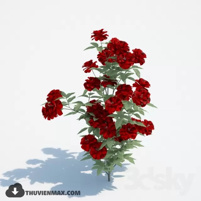 PRO PLANT 3D MODELS – 067