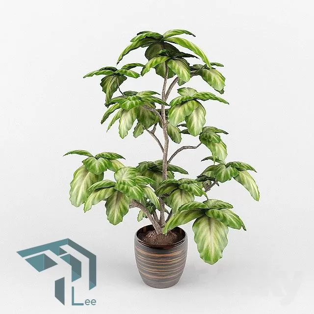 PRO PLANT 3D MODELS – 661