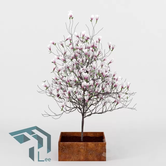 PRO PLANT 3D MODELS – 671