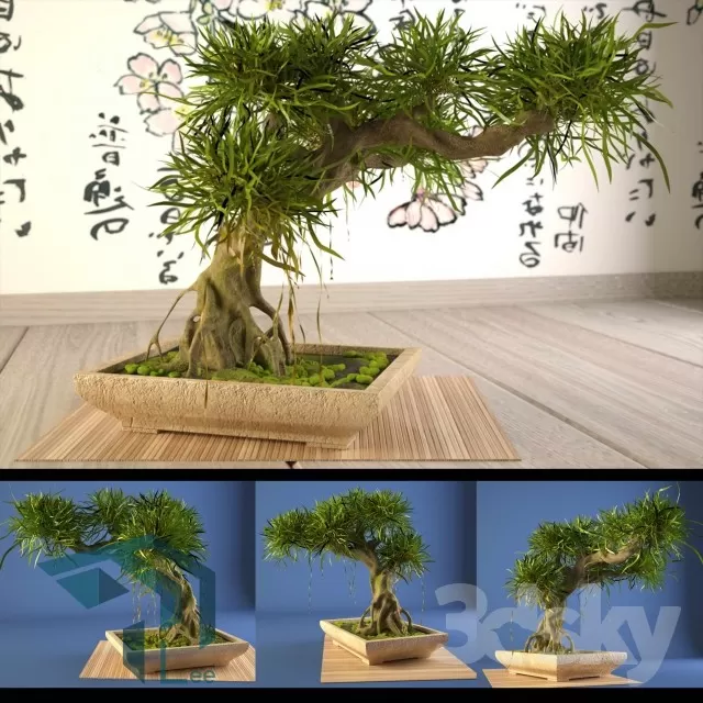 PRO PLANT 3D MODELS – 674