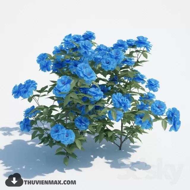 PRO PLANT 3D MODELS – 069