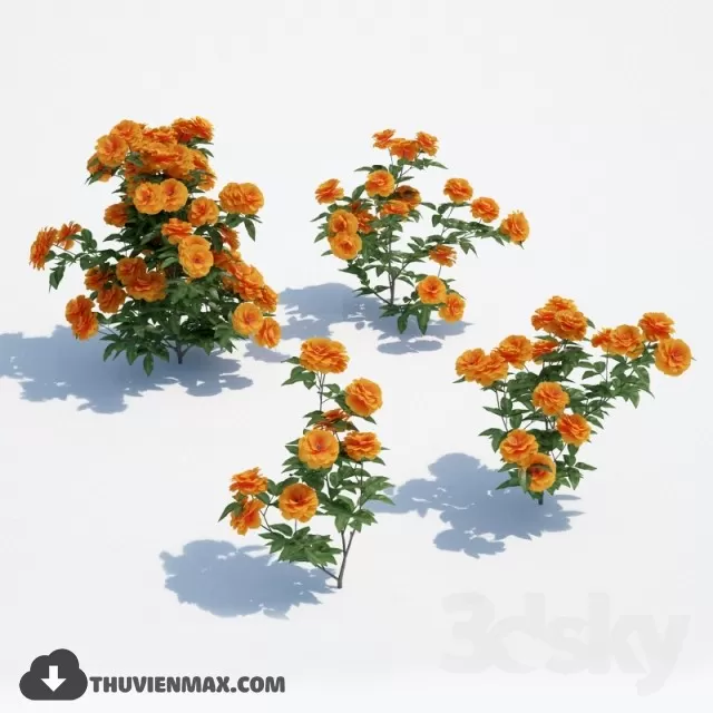 PRO PLANT 3D MODELS – 070