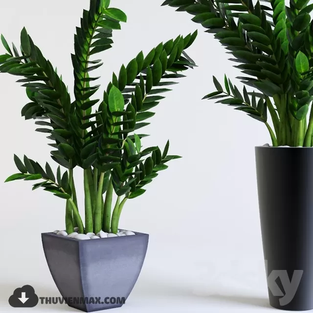PRO PLANT 3D MODELS – 695