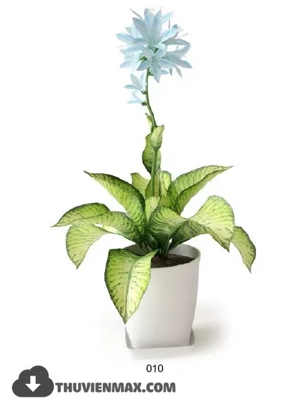 PRO PLANT 3D MODELS – 071