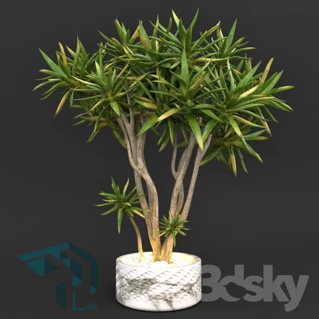PRO PLANT 3D MODELS – 701