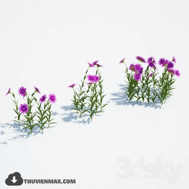 PRO PLANT 3D MODELS – 072