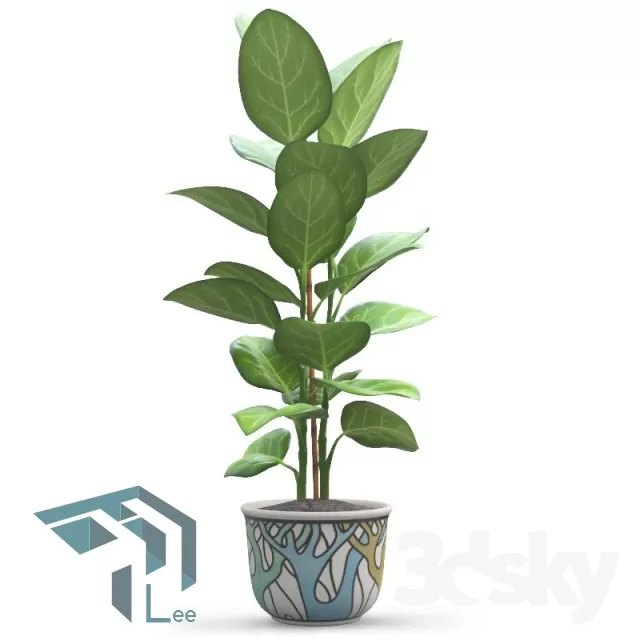 PRO PLANT 3D MODELS – 714