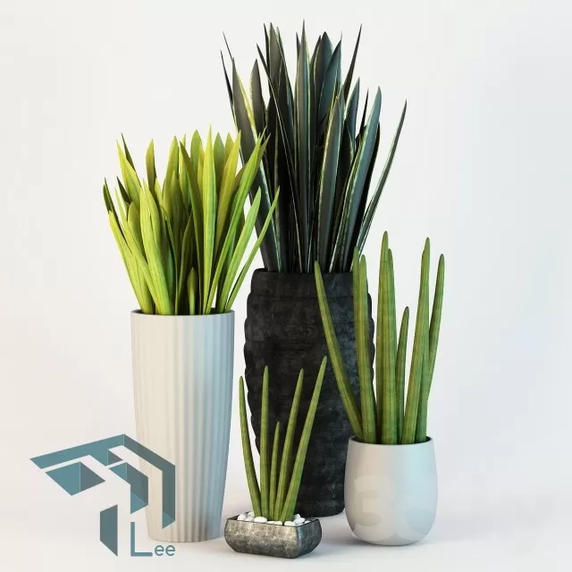 PRO PLANT 3D MODELS – 715