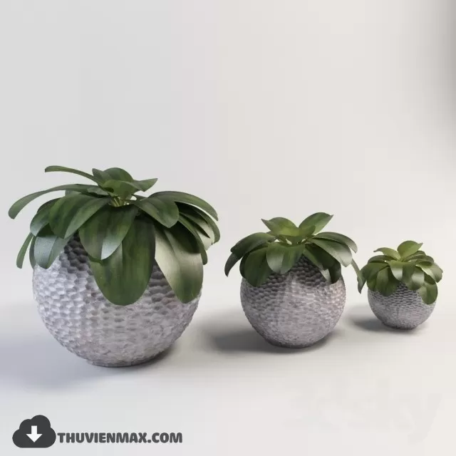 PRO PLANT 3D MODELS – 074