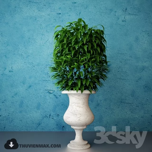 PRO PLANT 3D MODELS – 077