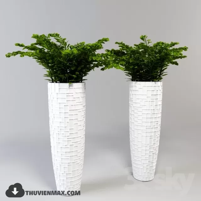 PRO PLANT 3D MODELS – 080