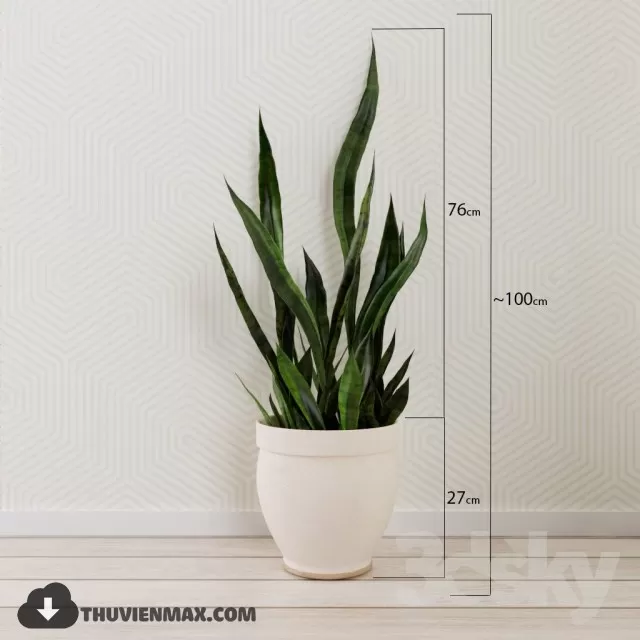 PRO PLANT 3D MODELS – 082