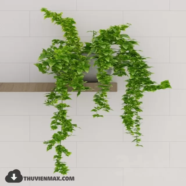 PRO PLANT 3D MODELS – 083