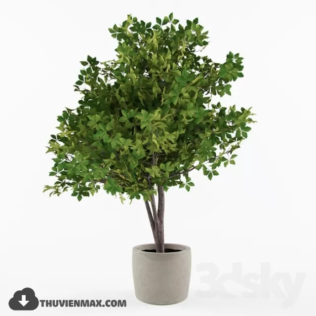 PRO PLANT 3D MODELS – 090