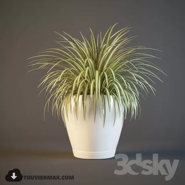 PRO PLANT 3D MODELS – 096