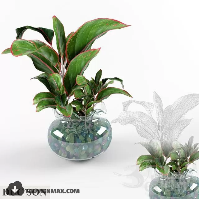 PRO PLANT 3D MODELS – 100