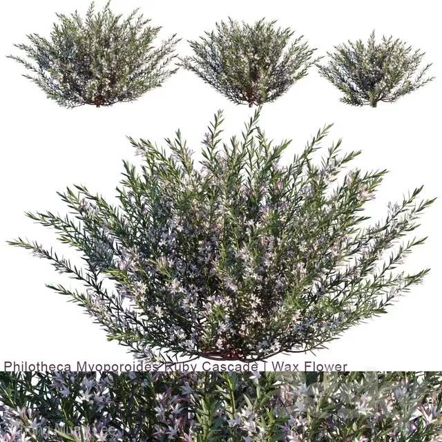 DECOR HELPER – PLANT – EXTERIOR 3D MODELS – 110