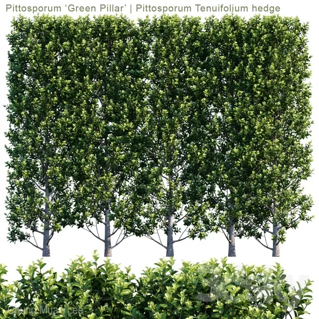 DECOR HELPER – PLANT – EXTERIOR 3D MODELS – 126