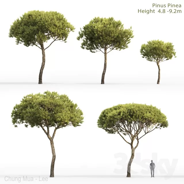 DECOR HELPER – PLANT – EXTERIOR 3D MODELS – 135