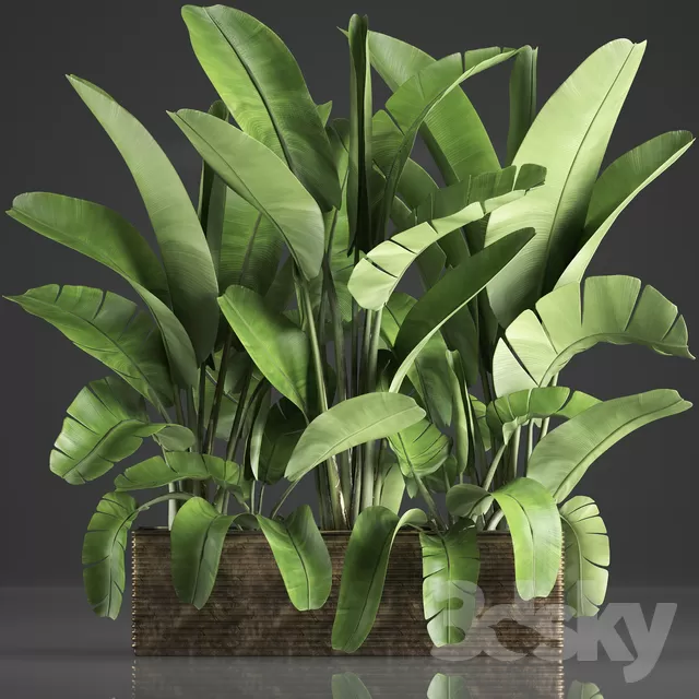 DECOR HELPER – PLANT – EXTERIOR 3D MODELS – 139