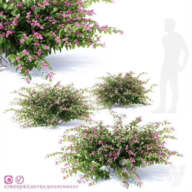 DECOR HELPER – PLANT – EXTERIOR 3D MODELS – 146