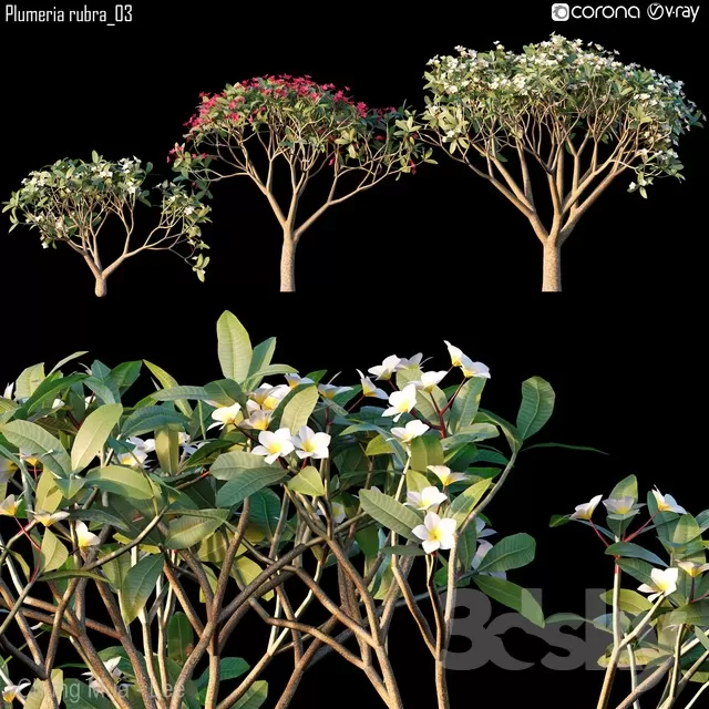 DECOR HELPER – PLANT – EXTERIOR 3D MODELS – 147