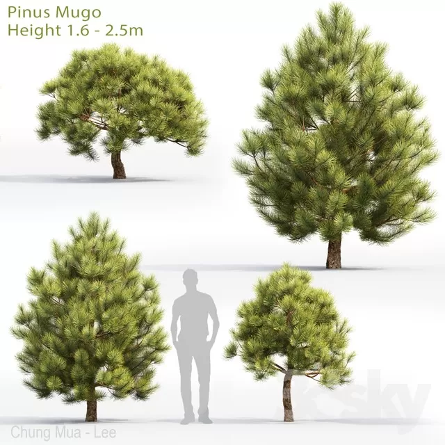 DECOR HELPER – PLANT – EXTERIOR 3D MODELS – 150